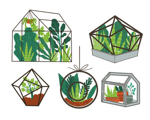 Greenhouse Terrariums with Plants vector - 784224166
