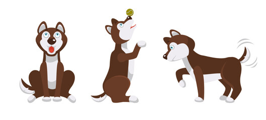 Husky Dog Activities Cute Illustration - 784226147