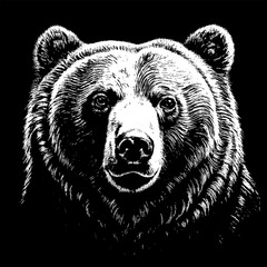 Brown Bear Head in Engraving Style, White Drawing on a Black Background, using Negative Space. AI generated.