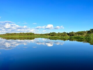 Reflections in the water