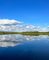 Reflections in the water