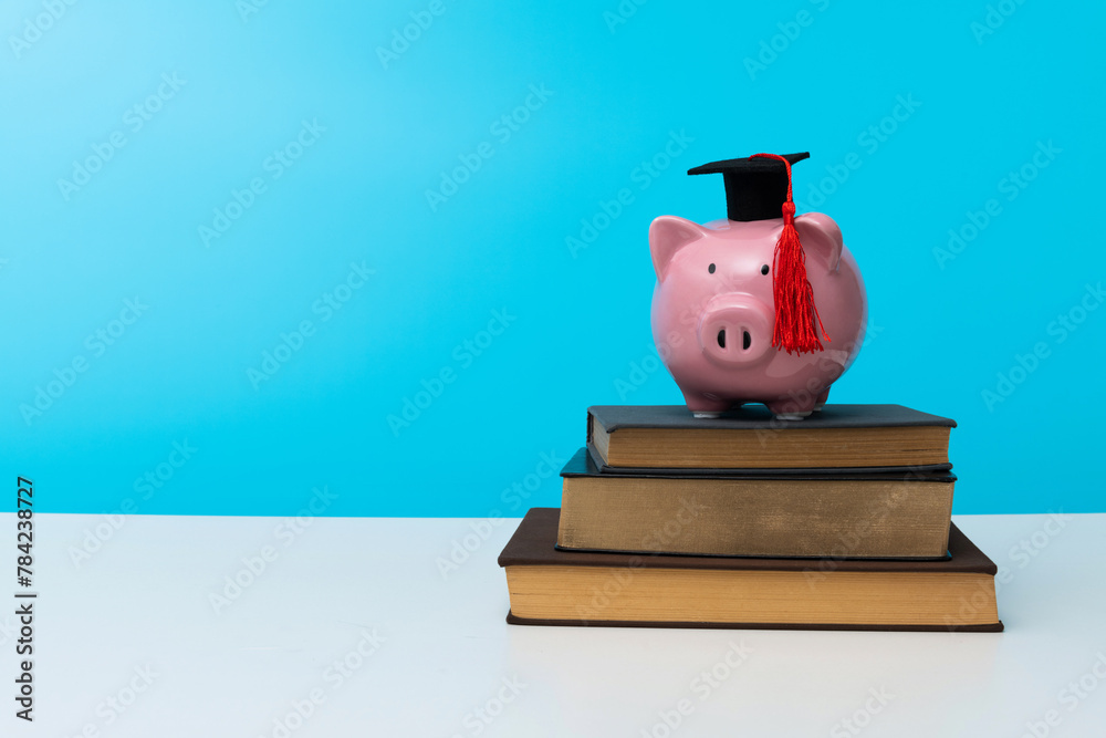 Wall mural piggy bank with graduation cap