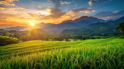 Badkamer foto achterwand photorealism of Beautiful rice field on sunset scene at north Thailand © amonrat