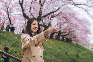Traveler asian woman with mobile phone travel in sakura cherry blossom  tree in Gongendo park Saitama Japan in spring season - 784244777