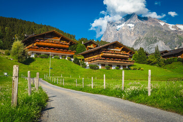 Wooden houses and flowery gardens on the slope, Grindelwald, Switzerland - 784246934