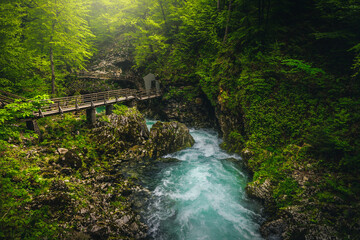 Wooden footbridge above the Radovna river in the Vintgar gorge - 784246975