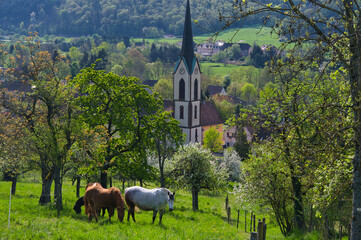 Landschaft bei Gunsbach sur Munster in den Vogesen