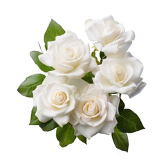 Fototapeta premium Fresh White Roses Bouquet Isolated