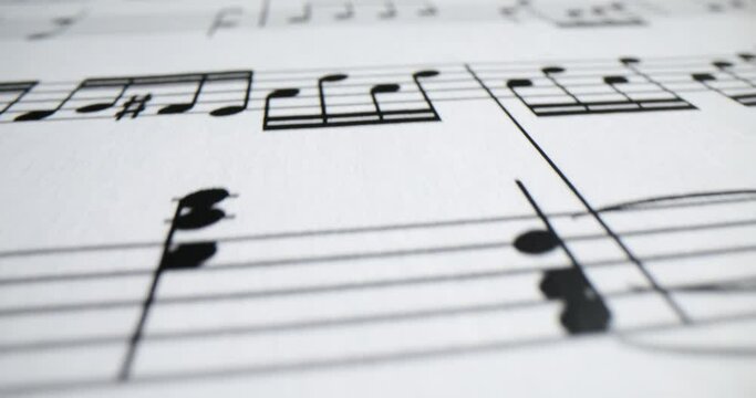 Journey through world of musical notation and musical notation