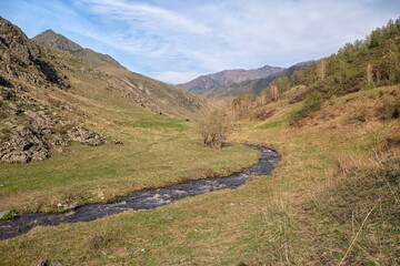 Altai river Chobe in the Spring season. This mountain  stream is the right tributary of Katun River. - 784263713