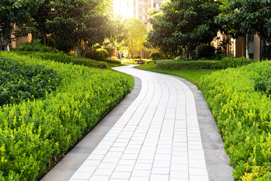 Garden path outside the apartment building