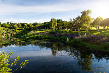 Landscape of the beautiful pond