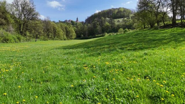 Blühende Wiese vor der Leuchtenburg in Thüringen