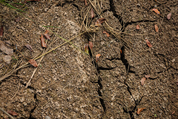 Textures On The Cracked Ground