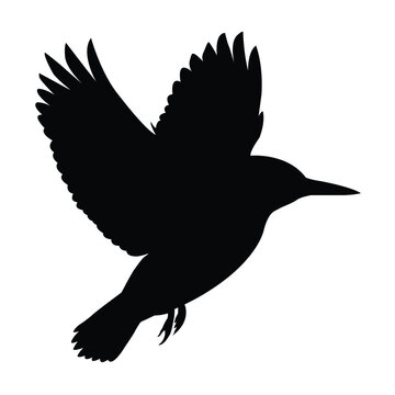 recommend clip art: silhouette of a kingfisher fly bird on white