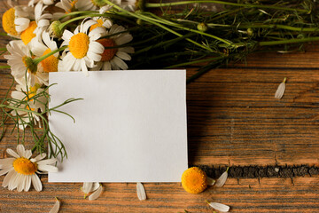 a piece of white paper on a wooden background surrounded by daisy flowers and petals, the concept of romantic mood and love notes, parting, loneliness - obrazy, fototapety, plakaty