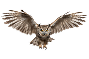 Fototapeta premium Owl flying, isolated on transparent background.