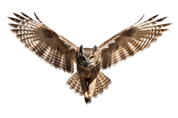 Fototapeta premium Owl flying, isolated on transparent background.