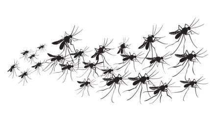 Fotobehang A flock of flying mosquitoes. Silhouette graphic image, generative ai © Neelam
