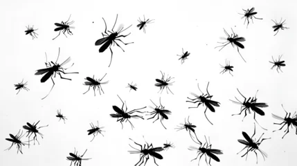 Fotobehang A flock of flying mosquitoes. Silhouette graphic image, generative ai © Neelam