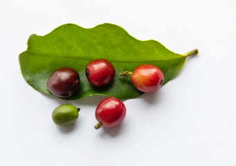 Red coffee beans and green leaf on white background