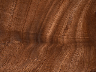 Rich mahogany feather veneer showcasing elegant wave-like patterns