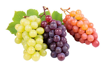 Fototapeta premium Multi-colored grapes, isolated on transparent background.
