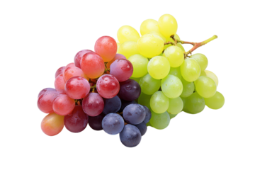 Multi-colored grapes, isolated on transparent background.