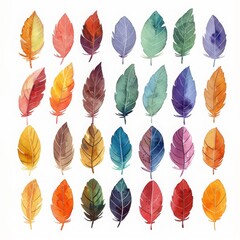 colorful watercolor feathers used as background - 784293181