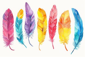 colorful watercolor feathers used as background - 784293579