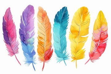 colorful watercolor feathers used as background - 784293785