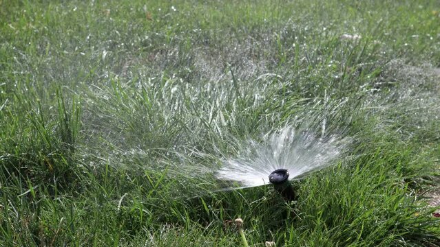 The automatic watering nozzle turns off after watering