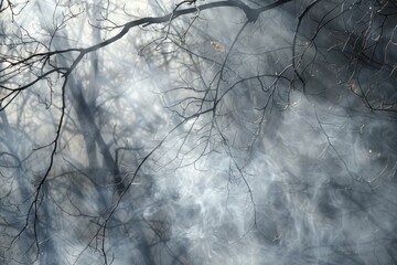 Ghostly Trees and Mist Creating a Scene of Whispering Woods
