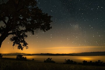 Fototapeta na wymiar Starry Night Over Misty Forest Landscape