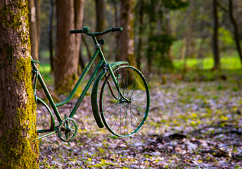 an old bicycle on a tree trunk in the forest