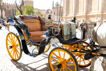 Horse-drawn carriage at the Giralda Cathedral, Seville, Andalusia, Spain