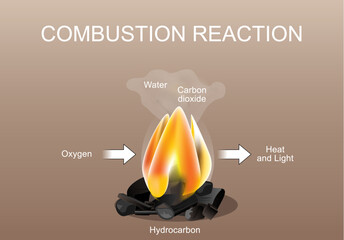 Combustion chemical reaction