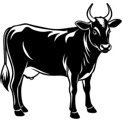 black and white cow