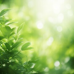 Fototapeta na wymiar illustration of green leaf blur background nature background, Generative ai