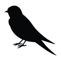 silhouette of a swallow bird on white