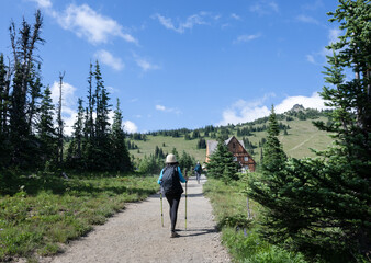 People hiking Sunrise Trail towards Sunrise Visitor Center, Mount Rainier National Park. Washington State. - 784312154
