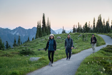Hiking Paradise at sunset. Mount Rainier National Park. Washington State. USA. - 784312353