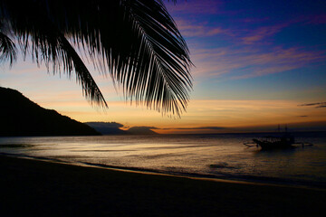 Sunset on a tropical island. View of the calm sea through the silhouette of palm branches during...