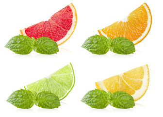 slices of grapefruit, orange, lemon and lime with mint sprigs on a white isolated background