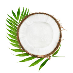 half a coconut and a palm leaf, top view, on a white isolated background