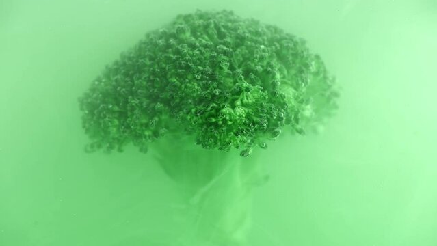 fresh broccoli in a cloud, green acrylic paint mist underwater. Artistic nutrition concept footage, 4K. Creative concept of vegetarianism, benefits of vegetables
