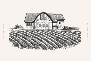 Landscape with a farmer's house and field. An old village house and a cultivated field with beds. Farmland in engraved vintage style.