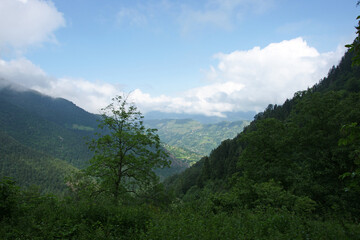 Obraz premium A view from Macka, Trabzon, Turkey