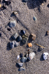 pebbles on the beach