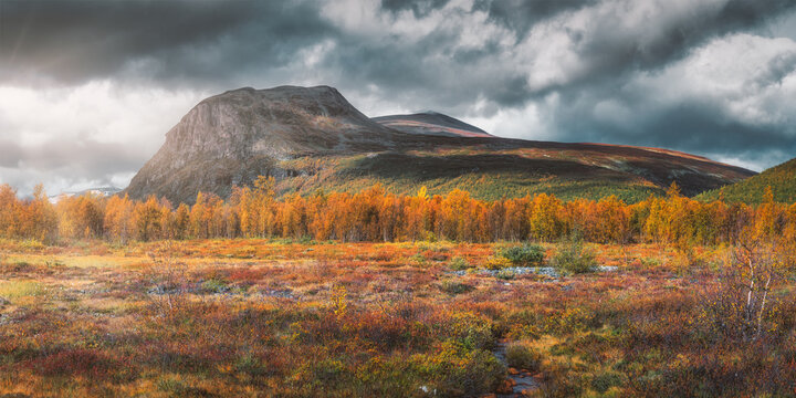 Dramatic autumn on the moor (Nikkaluokta - Kebnekaise - Sweden)